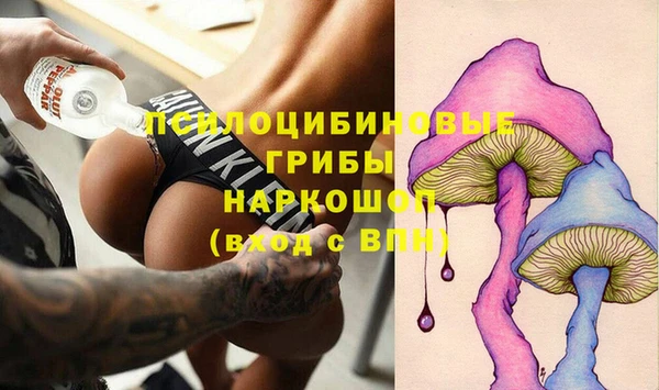 трава Медвежьегорск