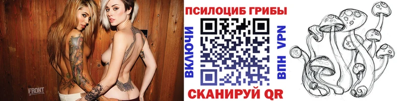 купить цена гидра ССЫЛКА Псилоцибиновые грибы Magic Shrooms Тотьма